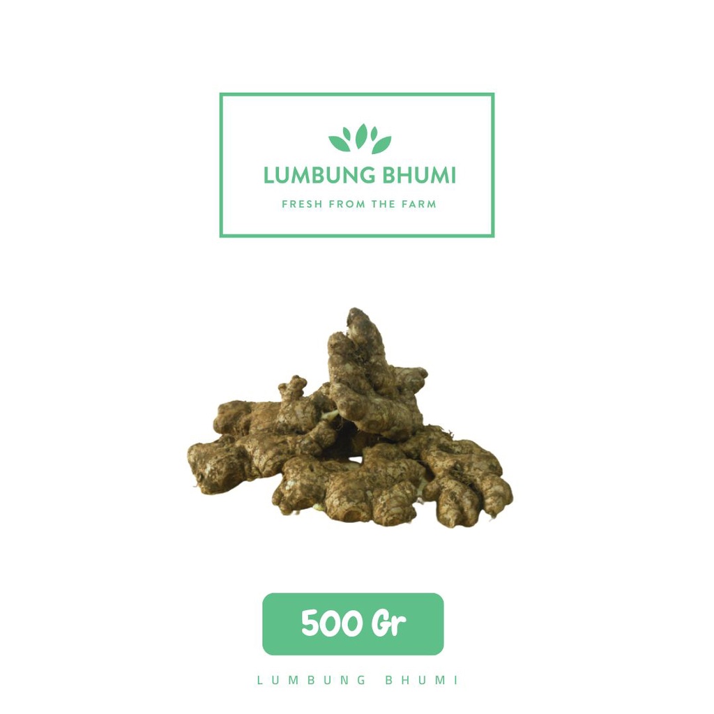 

Jahe Emprit Sayur 500 Gr - Lumbung Bhumi