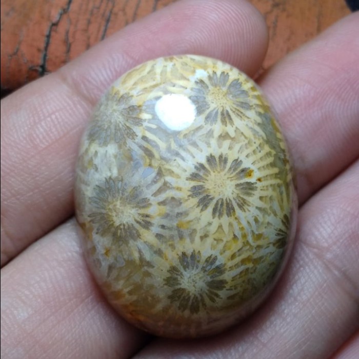 Natural Batu Akik Motif Gambar Bunga Teratai Unik Antik 34