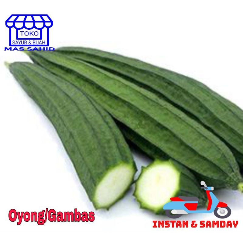 

INSTAN Sayur Oyong - Gambas 1 kg