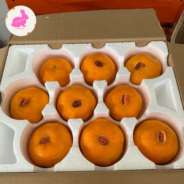 

Jeruk Snow Mandari 4.5kg | Dus (Isi 36pcs)