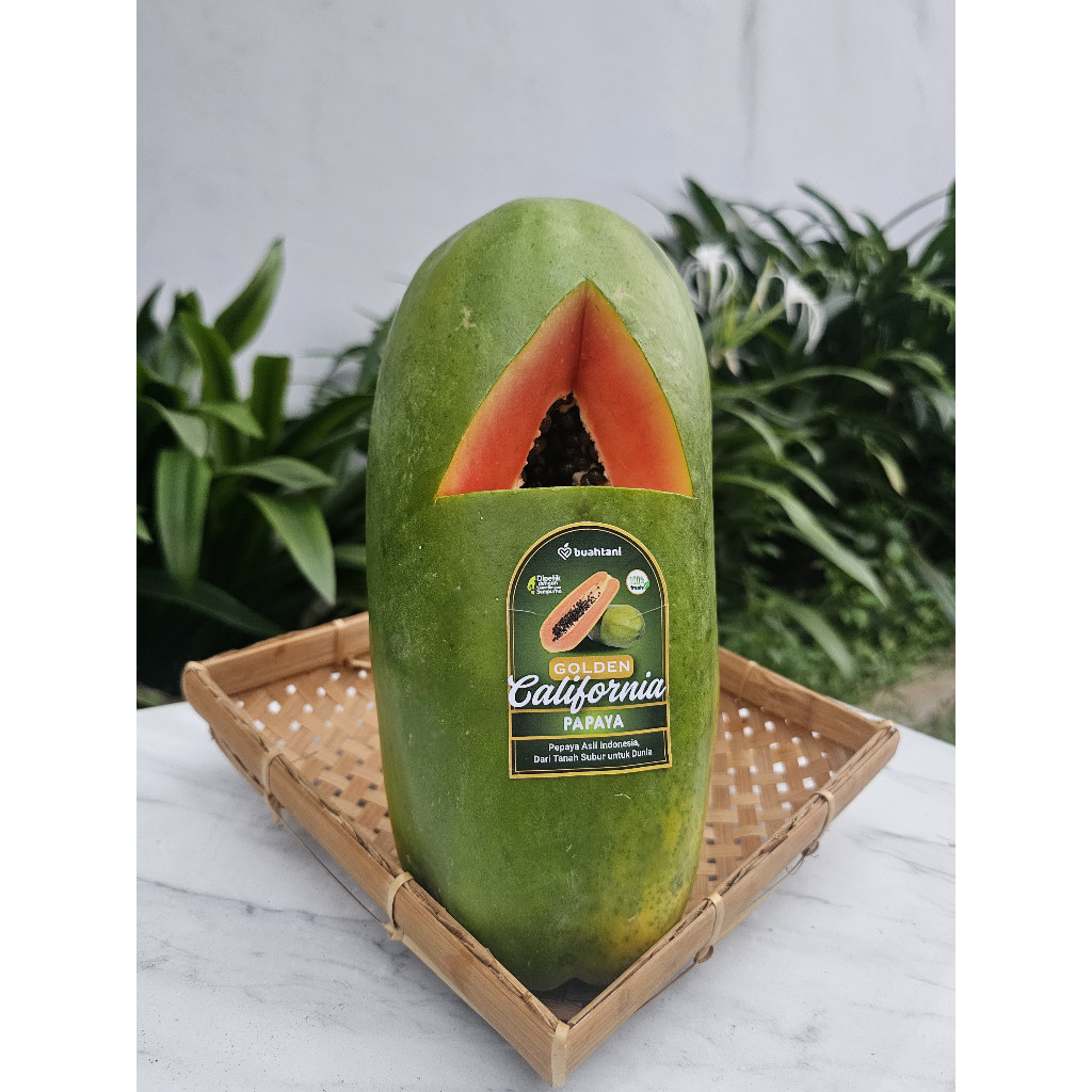

Pepaya California Large 1,2 Kg - 1,7 kg,Per Buah