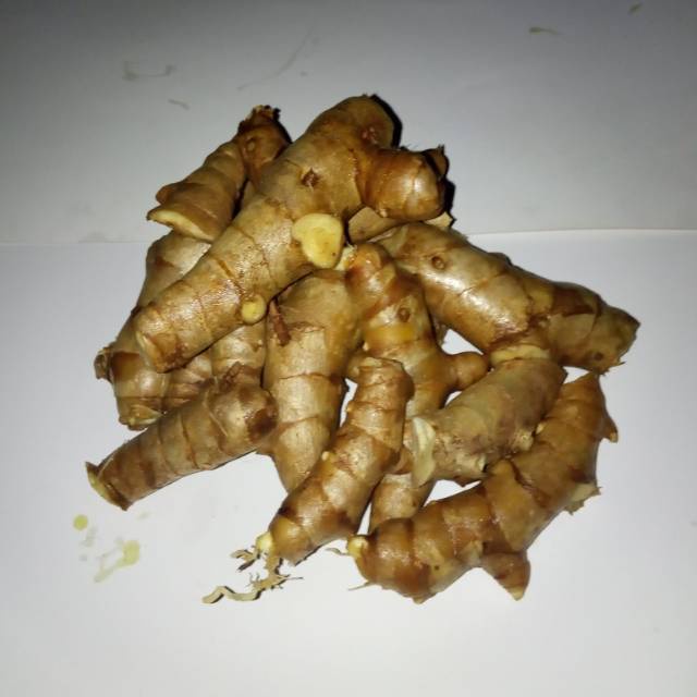 

TEMU PUTIH SEGAR 1KG CURCUMA ZEDOARIA FRESH KUNYIt KUNIR PUTIH TERMURAh segar