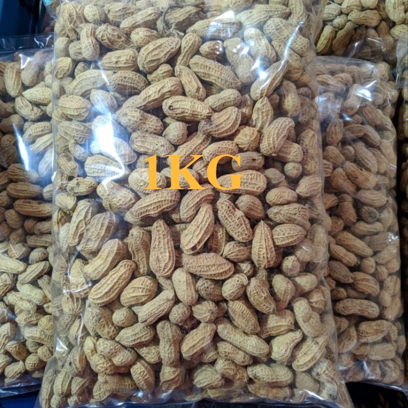 

1 KG Kacang Kulit Sangrai Snack Kiloan Kacang Bakar Spesial