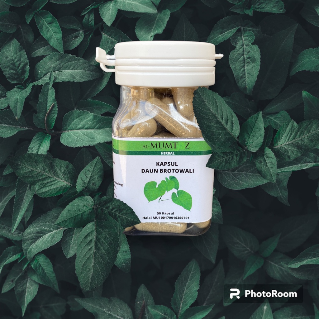 Kapsul Brotowali Obat Gatal Original Herbal Diabetes Untuk Sapih Anak Asam Urat Kurus Nafsu Makan