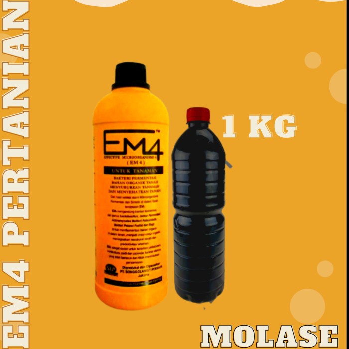 EM4 Pertanian Dan Molase Nutrisi Untuk Tanaman