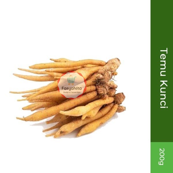 

Temu Kunci 200gr - FasyAnita Mart Denpasar