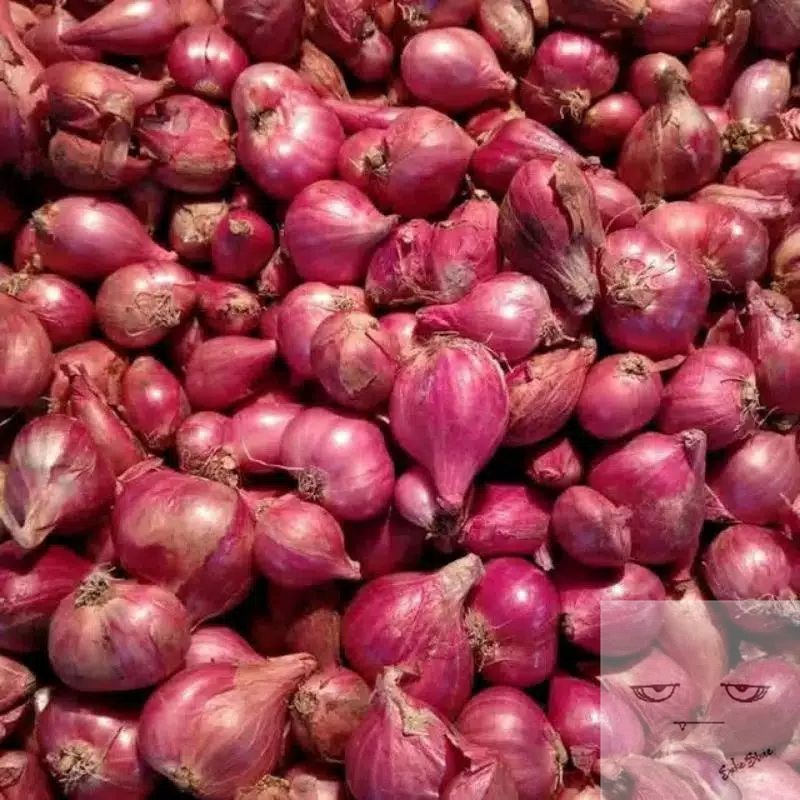 

Bawang merah lokal 1Kg