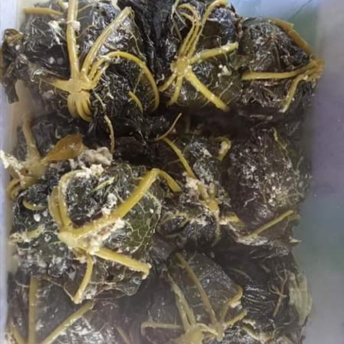 

New Produk pepes daun paya singkong santan - singkong pepaya