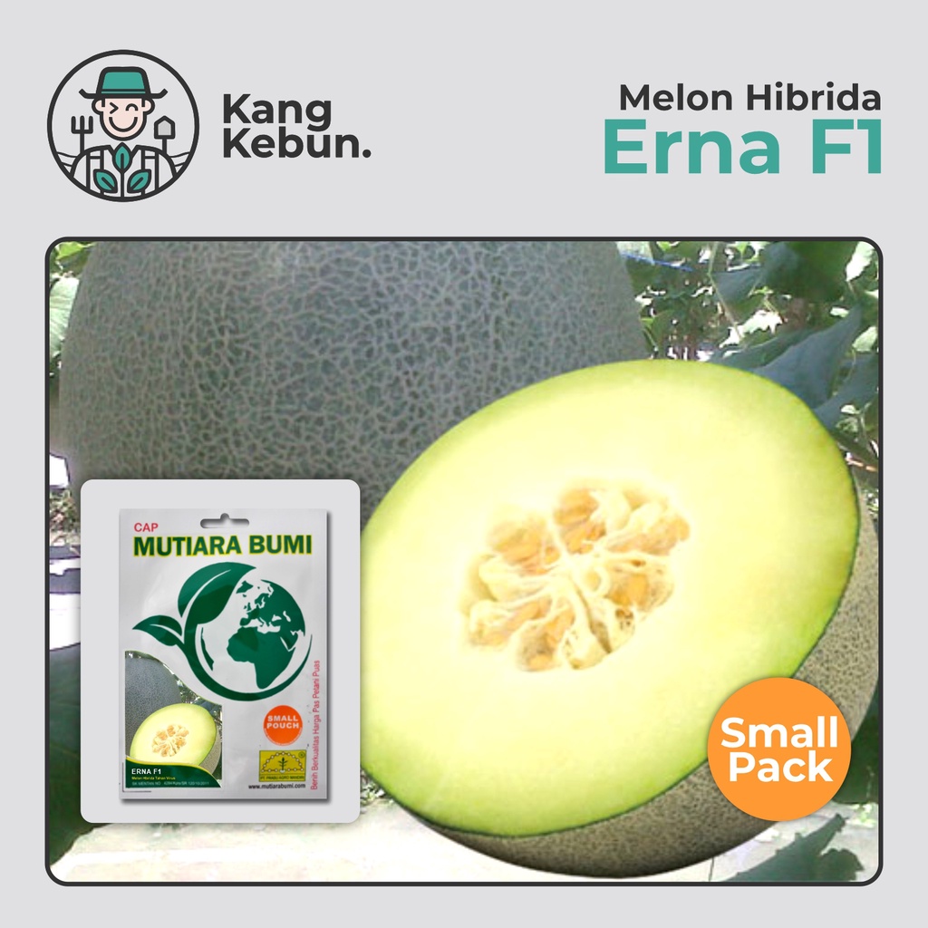 Benih Melon Erna F1 Small Pouch isi 20 biji Cap Mutiara Bumi