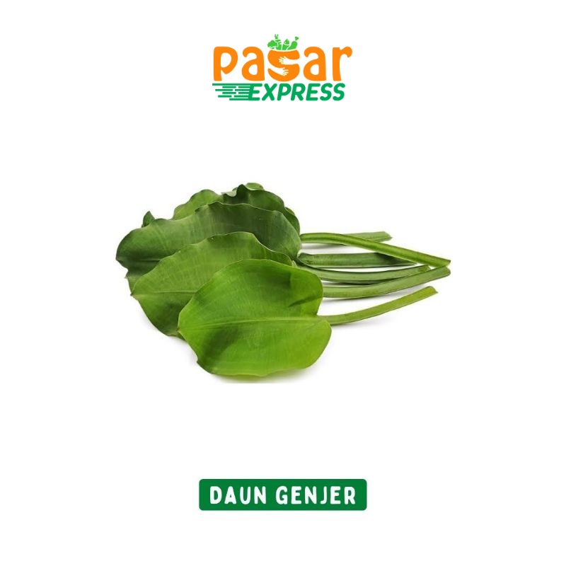 

Daun Genjer Per Ikat / Produk Langka