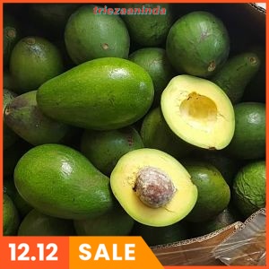 Pupuk Pelebat Buah Alpukat, Pupuk Organik Terbaik Untuk Alpukat