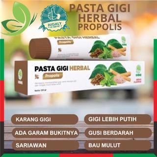Pasta Gigi Herbal Propolis HNI HPAI isi 120 gr Tanpa Fluoride dan Detergen - Halal Mall Produk Halal Indonesia