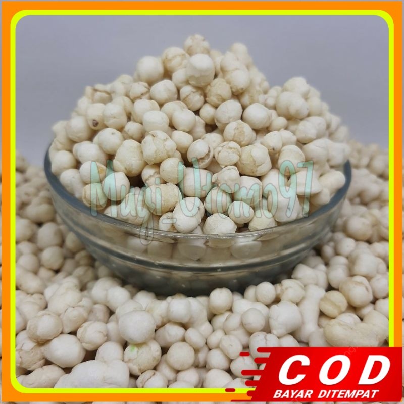 

1kg pilus kencur premium