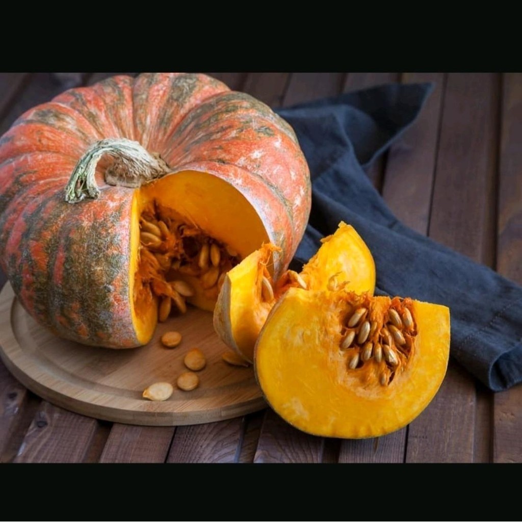 150 Benih Waluh Kuning Besar Super Buah Lebat