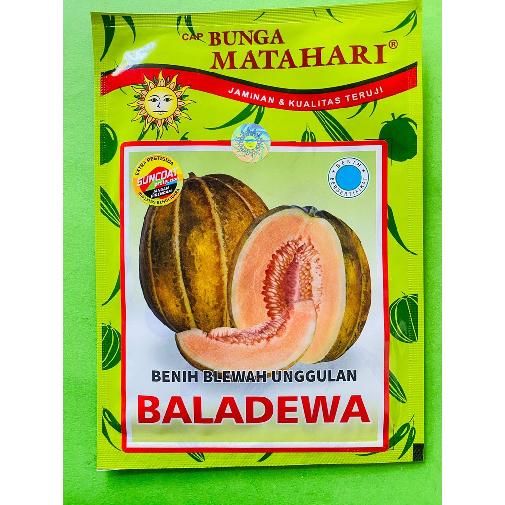 Benihgarbis blewah BALADEWA dari CAP BUNGA MATAHARI
