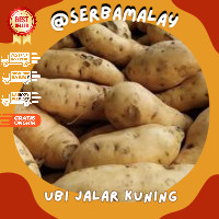 

ubi kuning madu