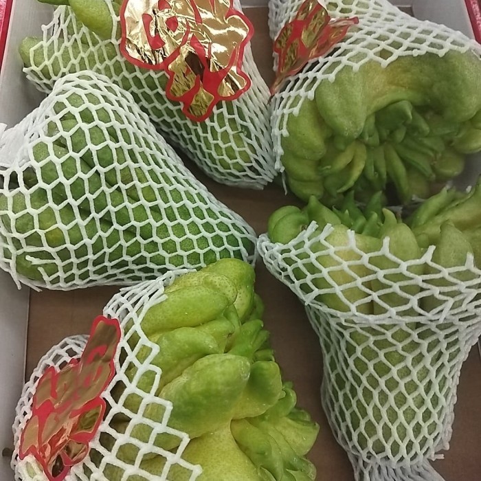 

Jeruk Hand Budha | Jeruk Sembayang Jari Jumbo Per Pcs