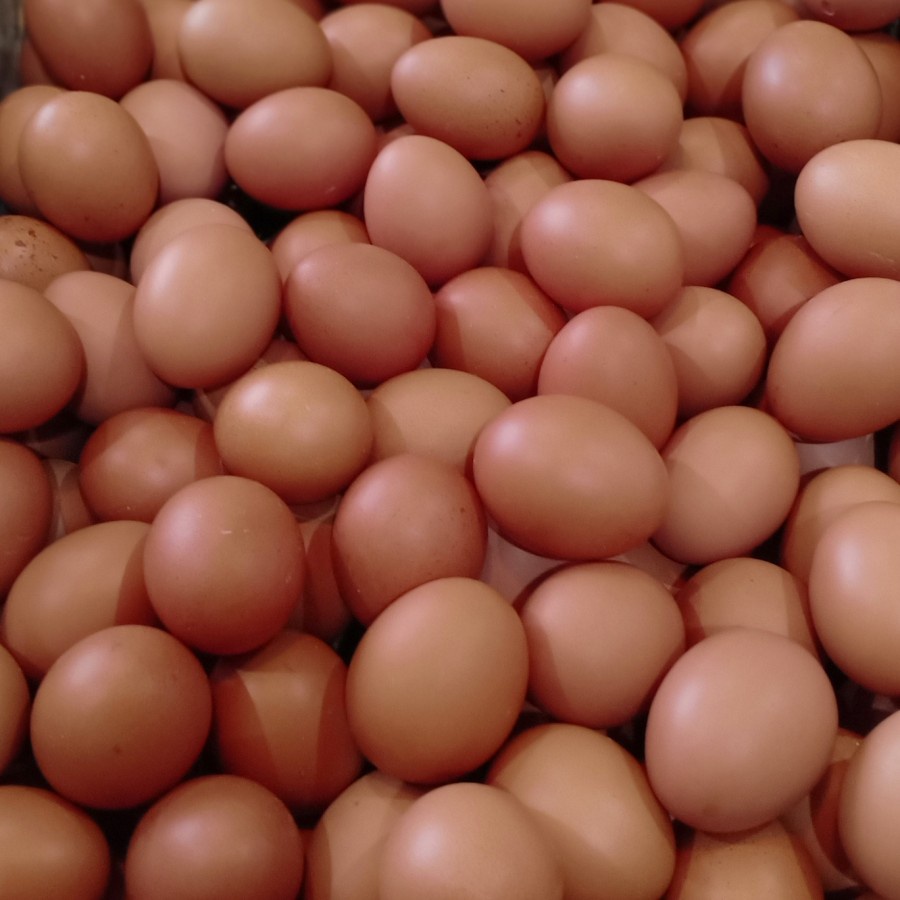 

telur ayam 1 kg