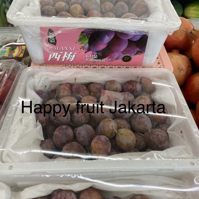 

Plum sugar sweet | Buah plum sugar manis fresh Box 2 kg