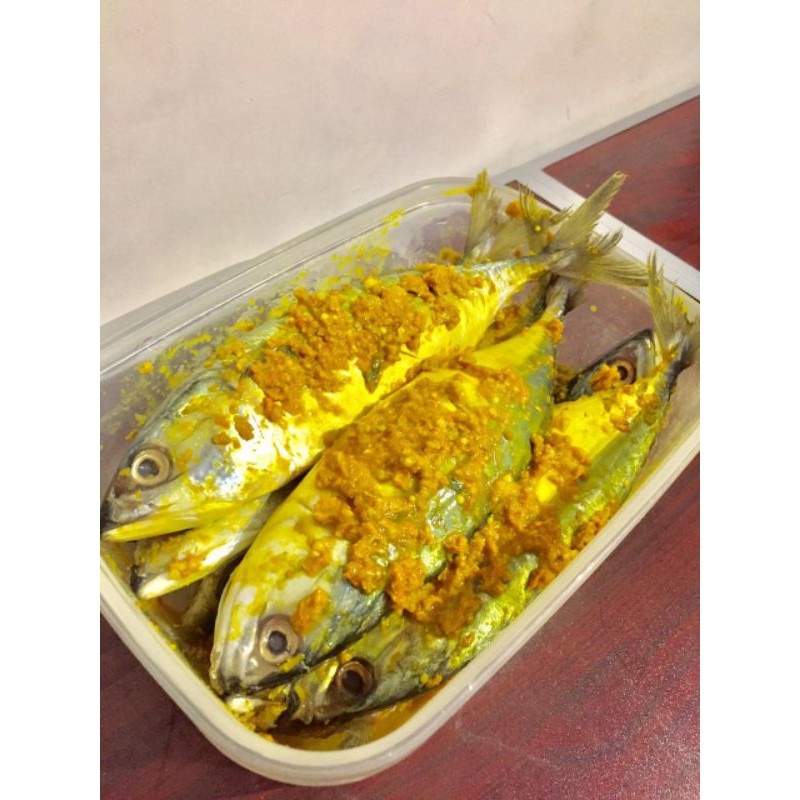 

FCW Jakbar - IKAN KEMBUNG UNGKEP BUMBU KUNING ISI 2 PCS