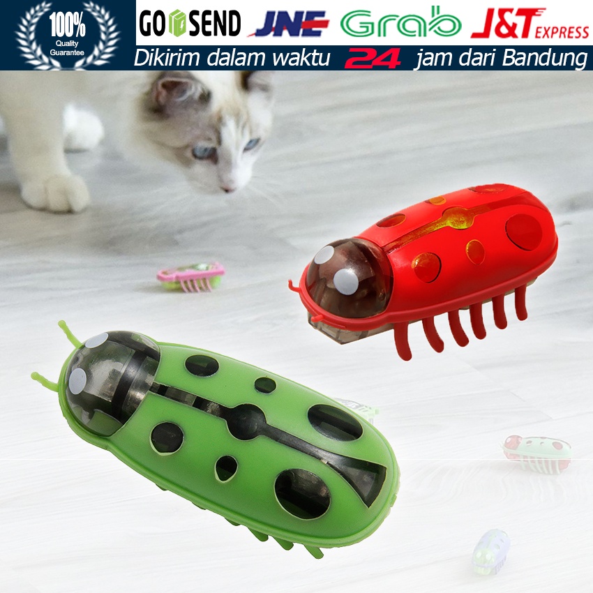 Electric Insect Robot Serangga / Mainan Edukasi Unik / Mainan Penggoda Kucing / Kecoa Racing