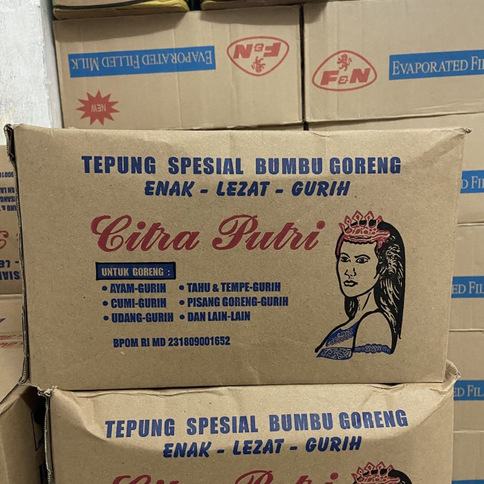 

NF-50 Tepung Citra Putri 250 Gr x 40 Bks / Tepung Bumbu Goreng