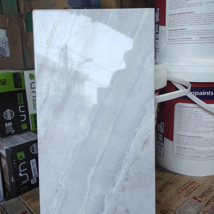 Keramik Dinding Kamar Mandi Atau Dapur 25x50 Raisa Beige