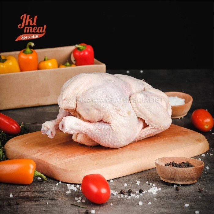 

Ayam Utuh Halal / Ayam Karkas / Ayam Broiler / Ayam Negeri / Whole Chicken