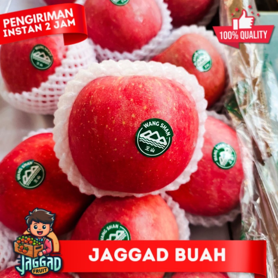 

Apel Fuji WangshanPremium JAGGAD FRUIT