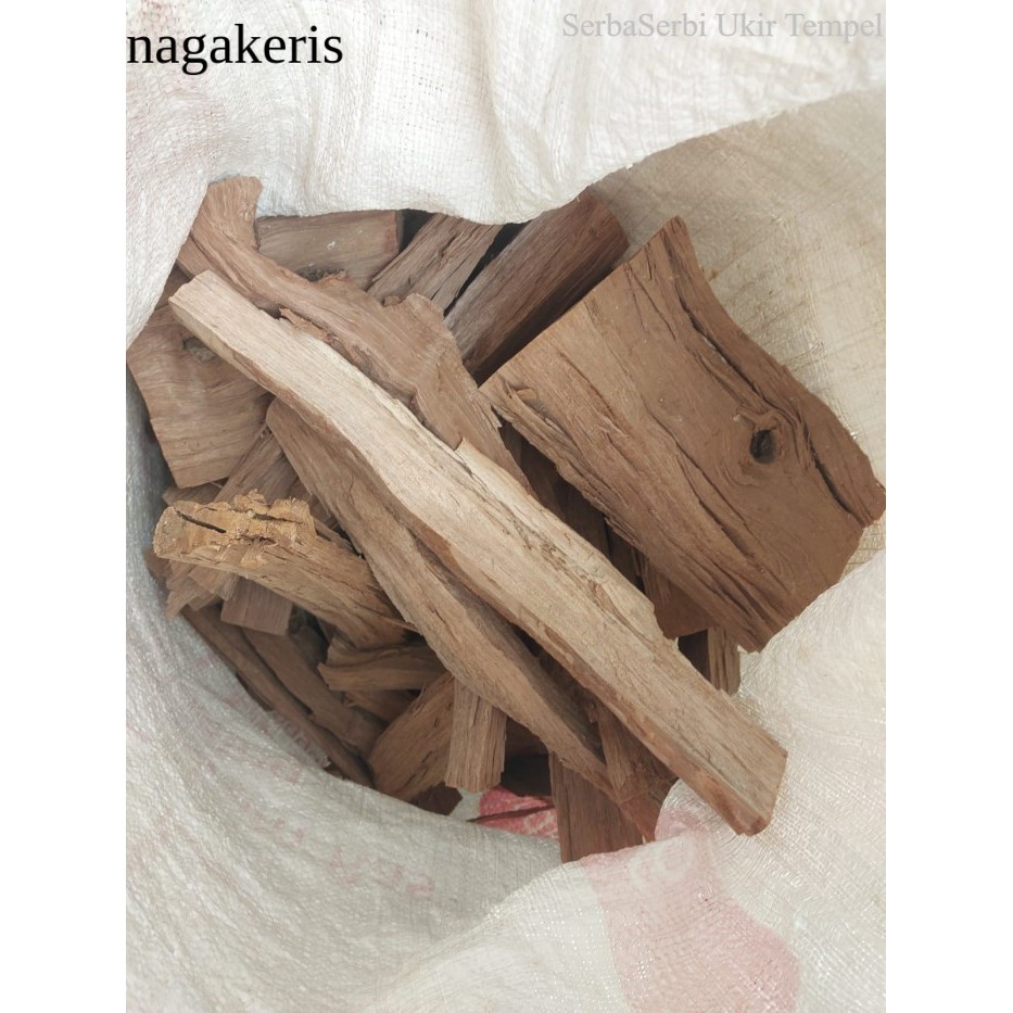 

Kayu Bakar Rambutan Tanpa Kulit - Smoking Barbeque Fire Wood Termurah - Panjang 25cm laris