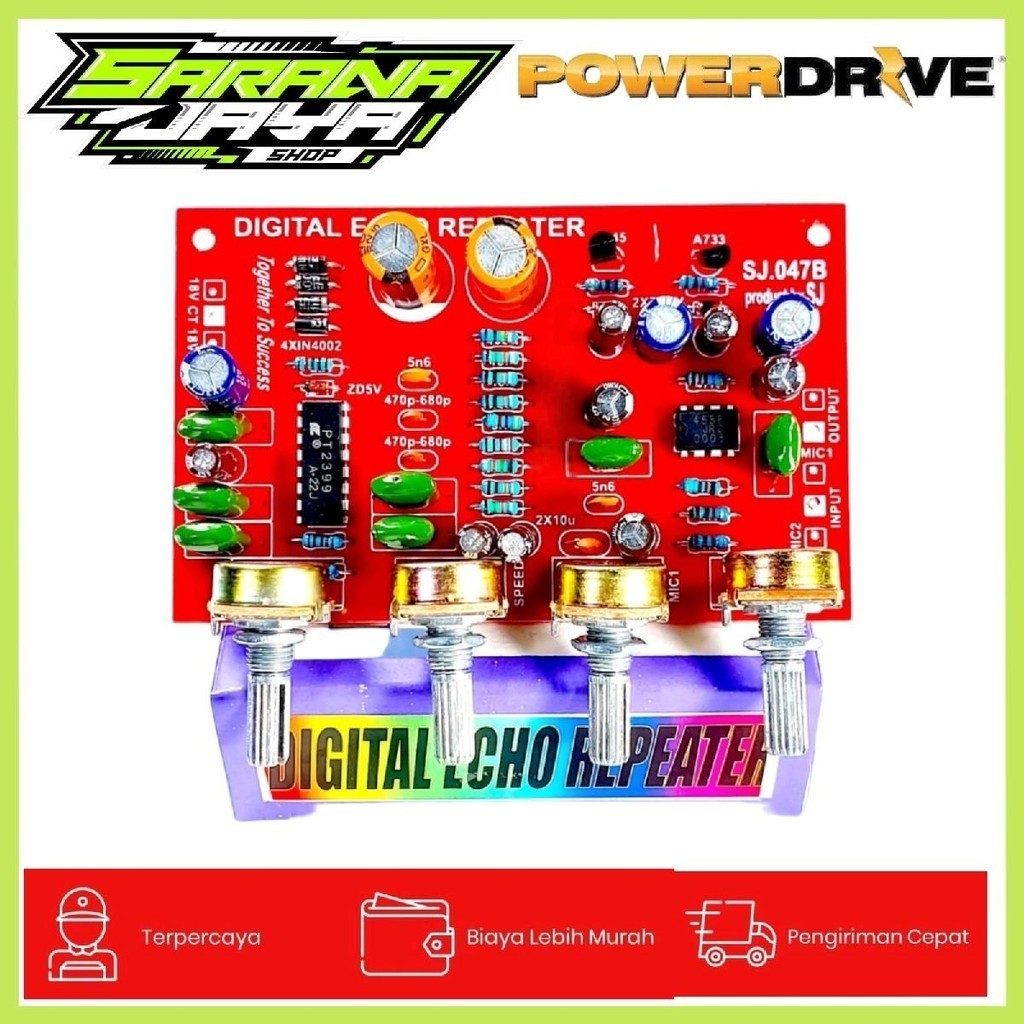 Echo digital REPEAT + 2 mic PLUS SIMETRIS