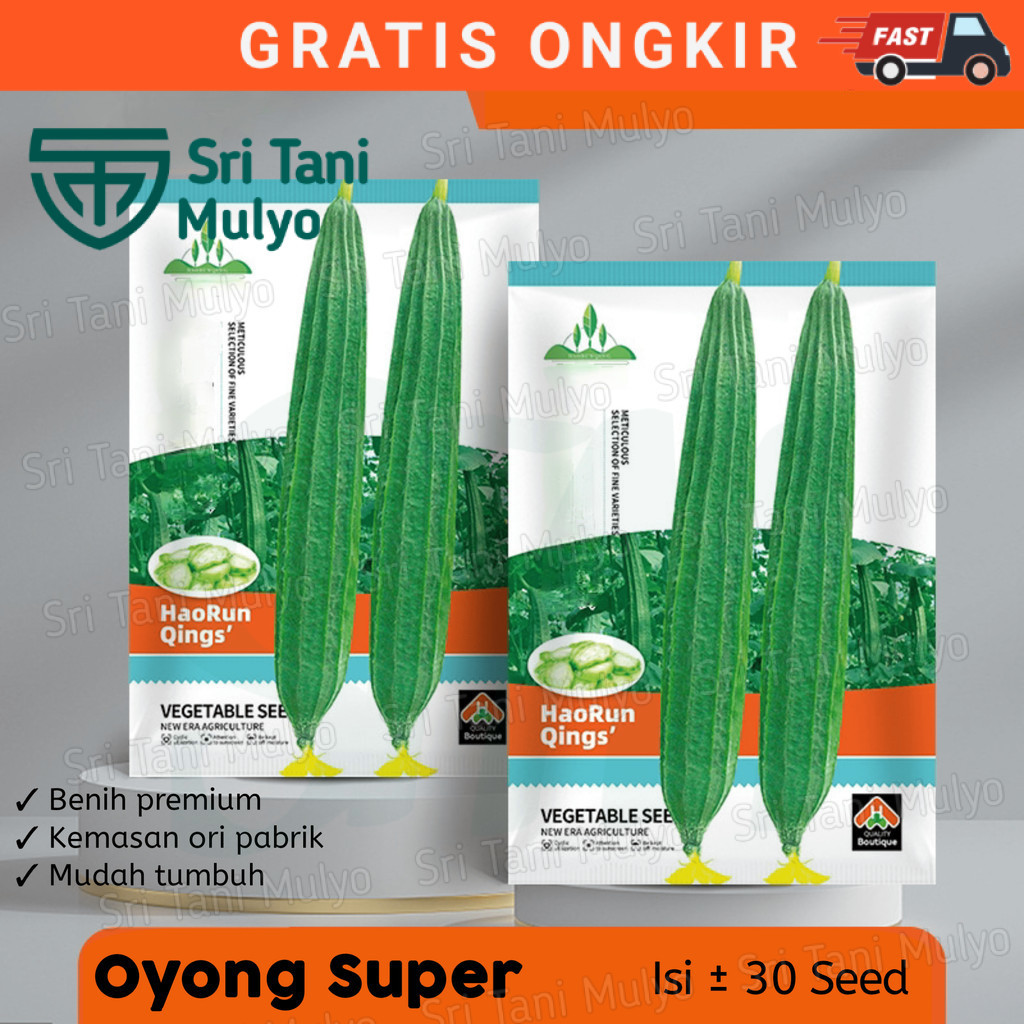 OM - BENIH OYONG SUPER BERKUALITAS KEMASAN PABRIK-BIBIT OYONG
