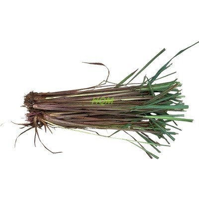 

SEREH WANGI SEGAR 500 GRAM SERAI MERAH LANANG HERBAL BERKHASIAT