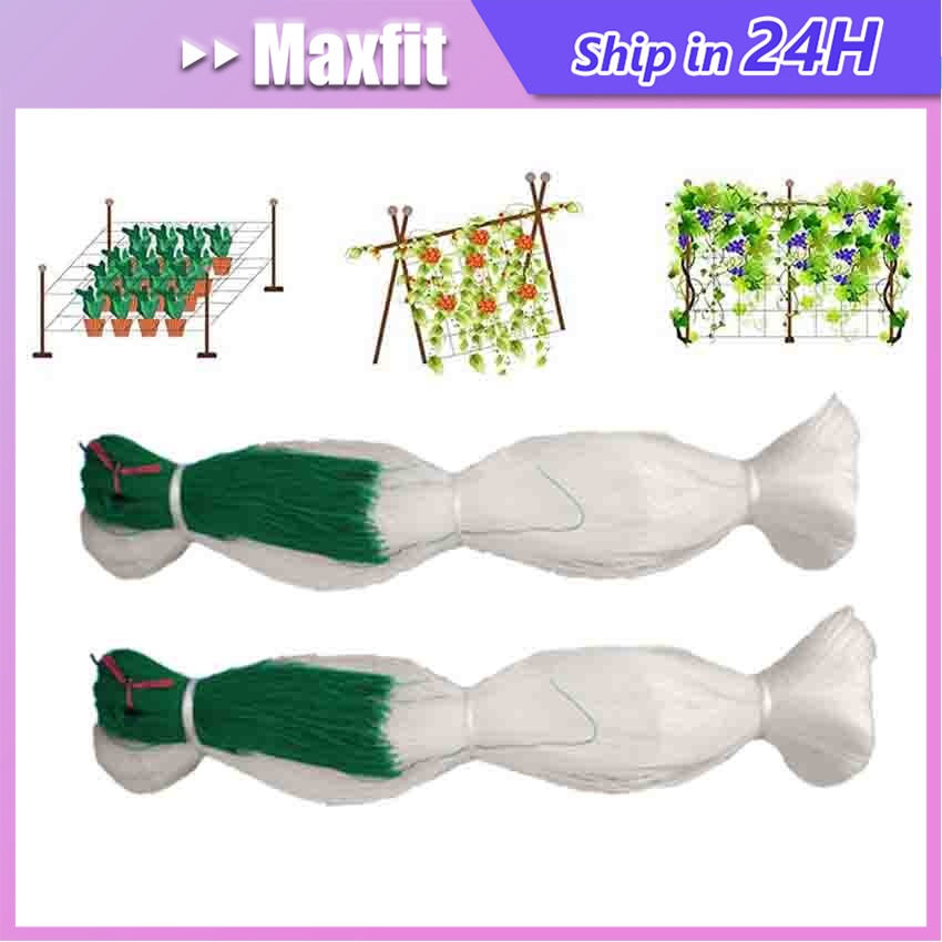 Jaring Rambatan Plant Climbing Net MURAH