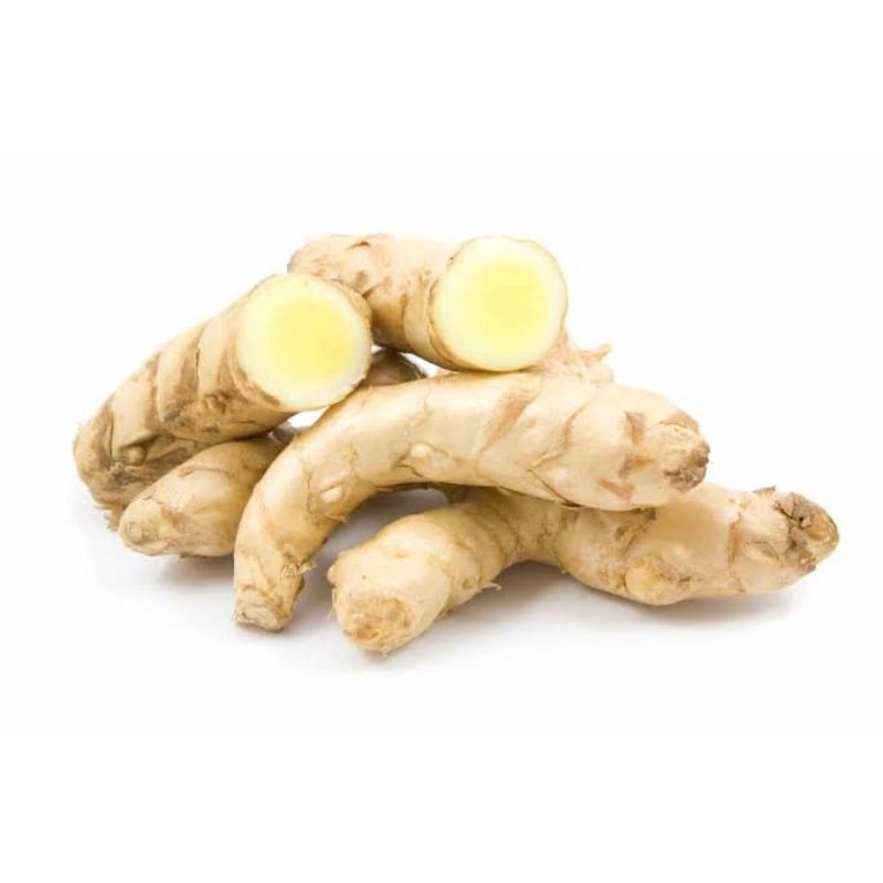 

Kunyit-Temu Putih Segar Curcuma Zedoaria 1kg