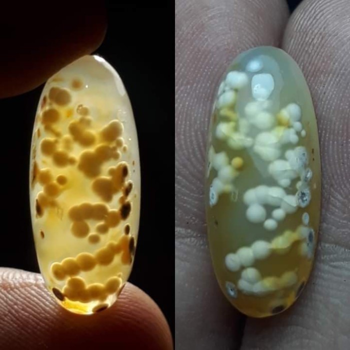 Natural Batu Akik Motif Gambar Totol Telur Kodok Katak Unik Antik