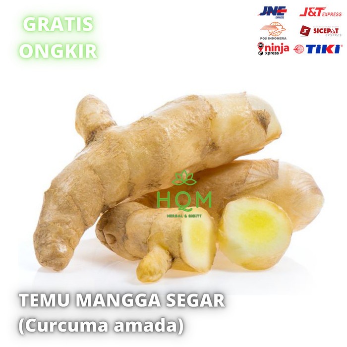 

TEMU MANGGA SEGAR 500GRAM( Curcuma amada )