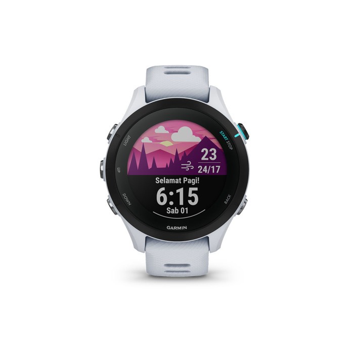 Garmin Forerunner 255S Music - Whitestone