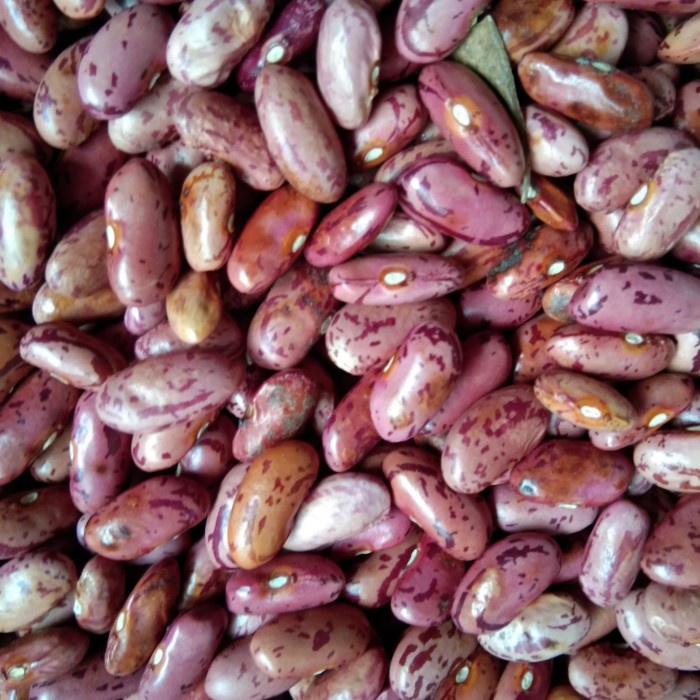 

kacang es merah/kacang jogo 1 kg