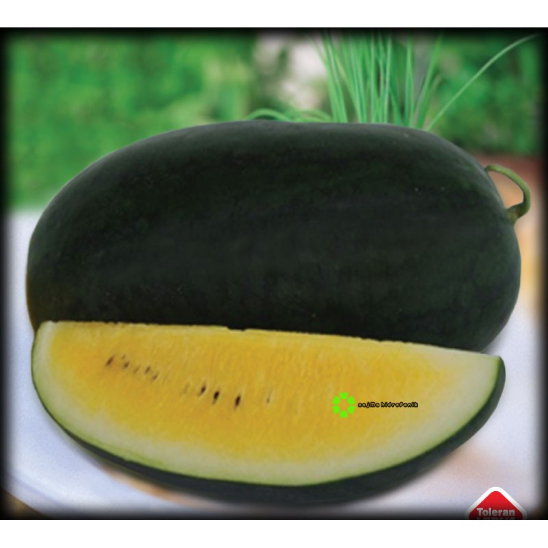 3 Butir Benih Semangka Maduri Repacking (Bintang Asia)