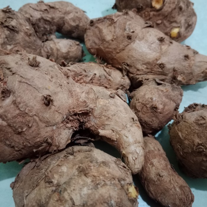 

TEMULAWAK SEGAR 1kg | TEMULAWAK SEGAR 500gr