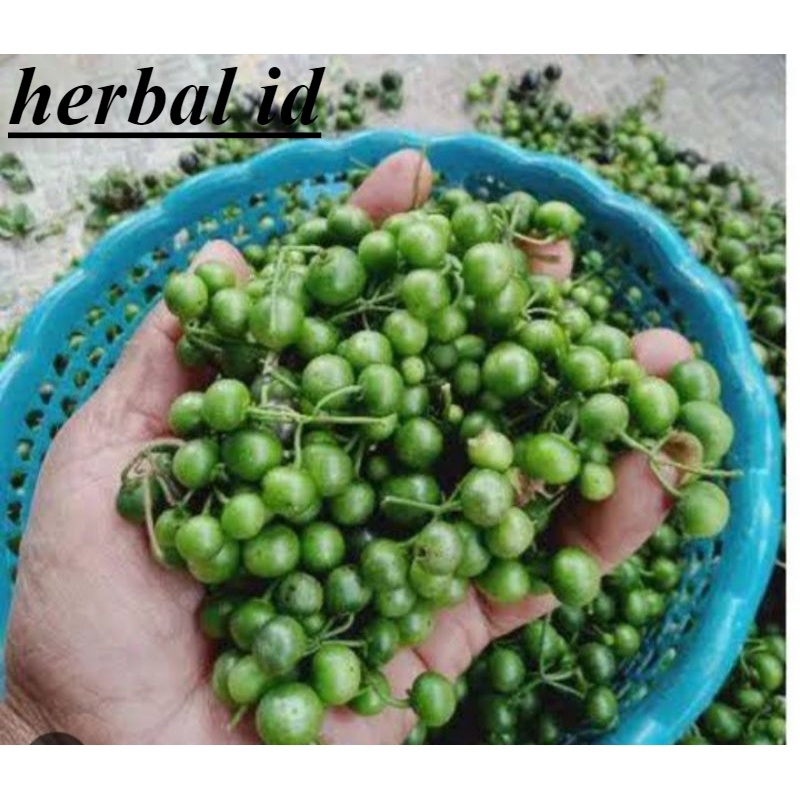 

LEUNCA / LENCA PER 1KG murah