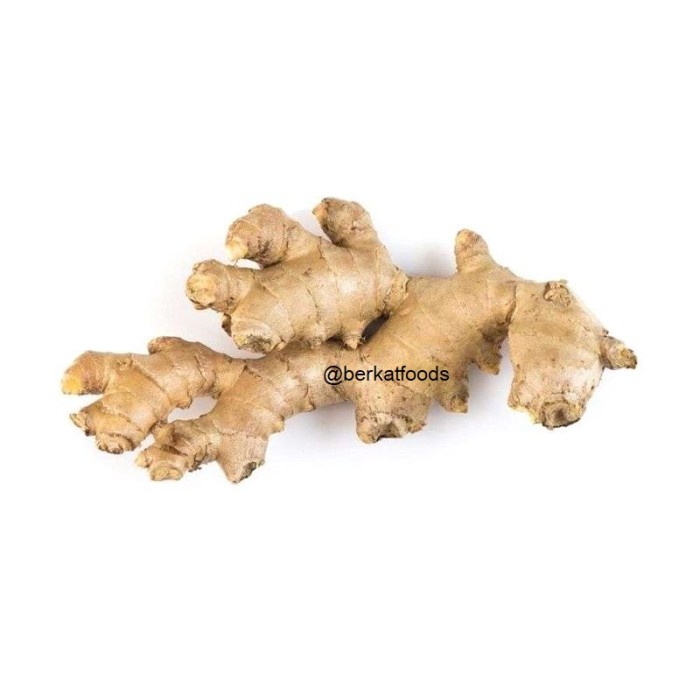

New Produk Jahe Segar Gajah / Ginger Fresh Super