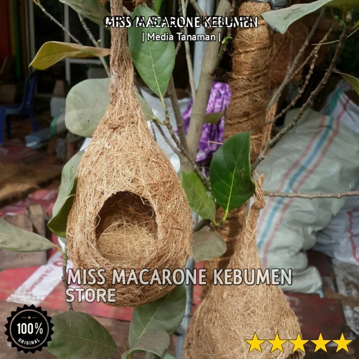 (SOUVENIR) sarang burung lovebird glodok burung murai parkit manyar sarang telur