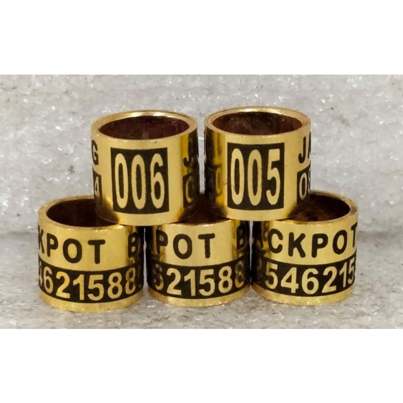 RING BURUNG MERPATI GOLD KUNINGAN WINNER  FARIASI