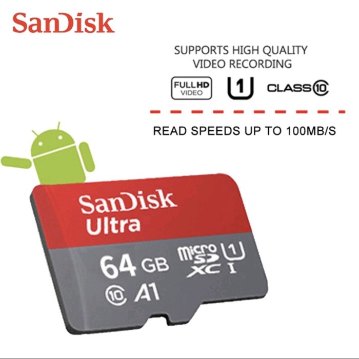 Sandisk kartu memori Micro SD Memory 128GB 256GB 512GB Fast Speed - 256 gb