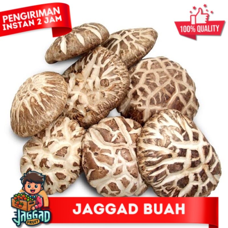 

Jamur Shitake Grade A jamur payung kering Hioko Siangku Asli Import dried mushroom JAGGA FRUIT