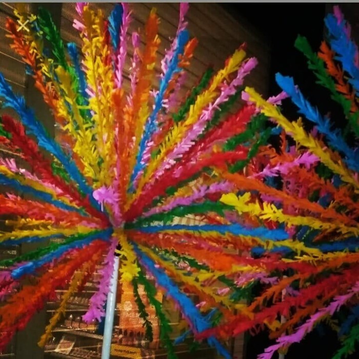 

kembang mayang / akar kelapa - Tongkat Mer Put