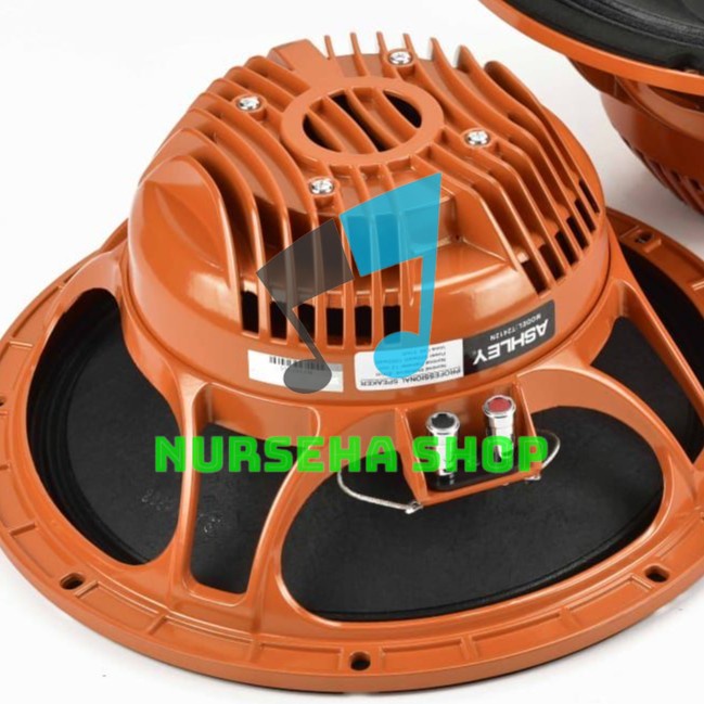 Speaker ashley 12 inch T2412N SPEAKER ashley woofer t2412n neodium