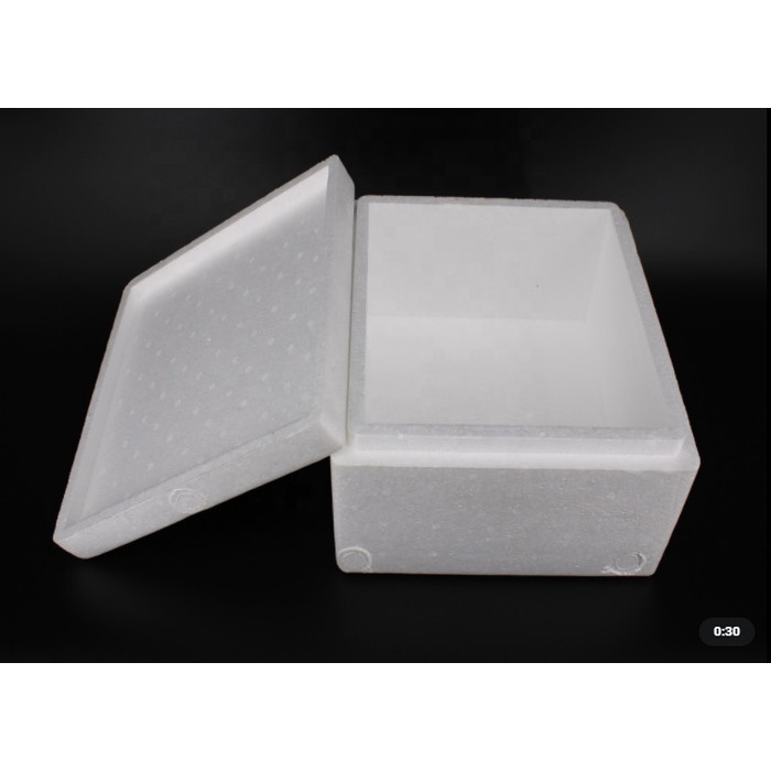 STYROFOAM BOX kotak besar frozen food - XL